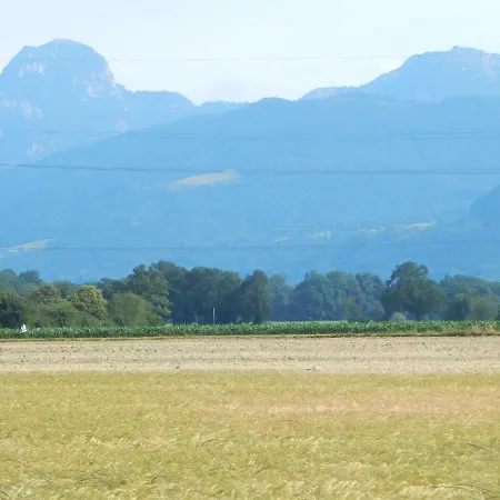 Apartment Am Feldbach Bad Aibling