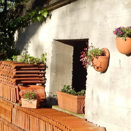 Am Feldbach Apartment Bad Aibling
